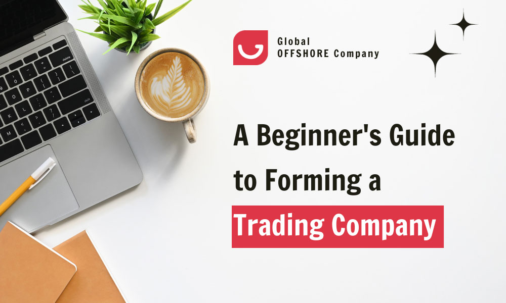 A Beginner's Guide to Forming a Trading Company